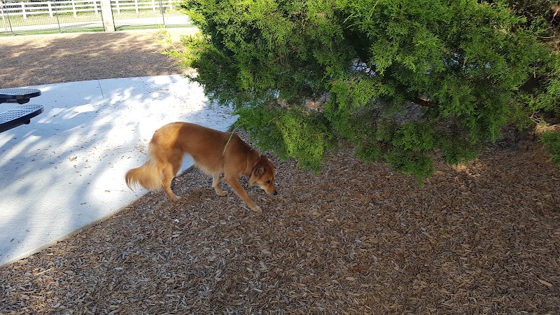 K9 Corral at Craig Ranch - McKinney, TX