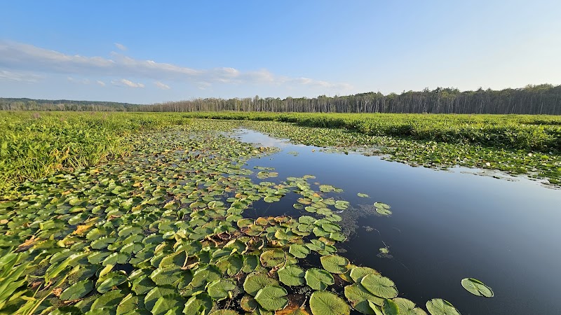 Round Lake Preserve - Mechanicville, NY