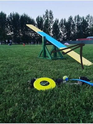 Unleashed Unlimited Private Dog Park