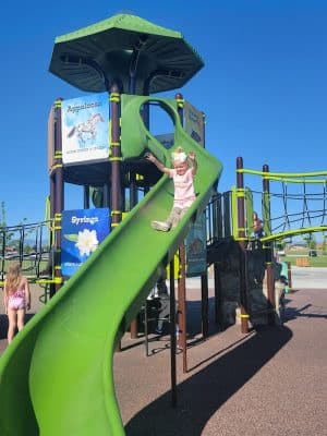 Discovery Bark Park