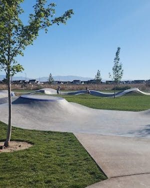 Discovery Bark Park