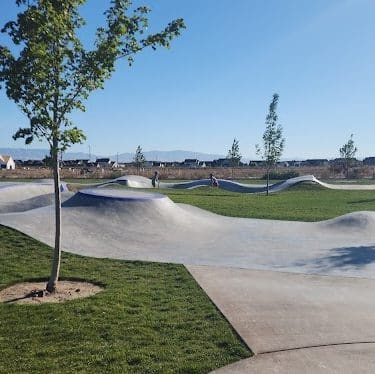 Discovery Bark Park