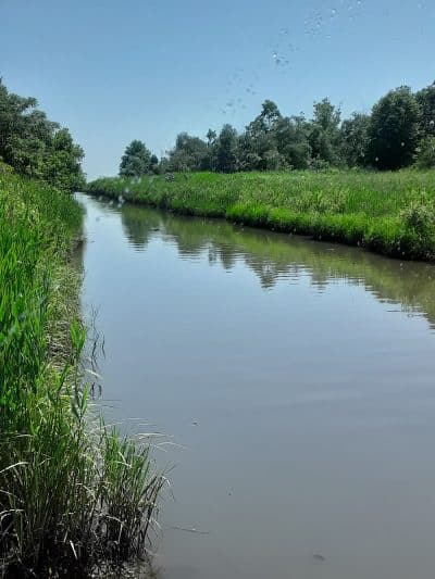 Merrick Road Park - Merrick, NY