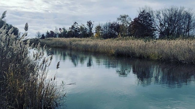Merrick Road Park - Merrick, NY