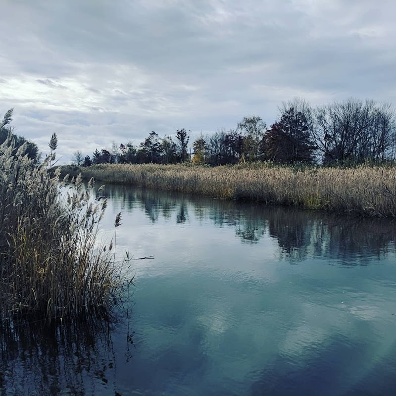 Merrick Road Park - Merrick, NY
