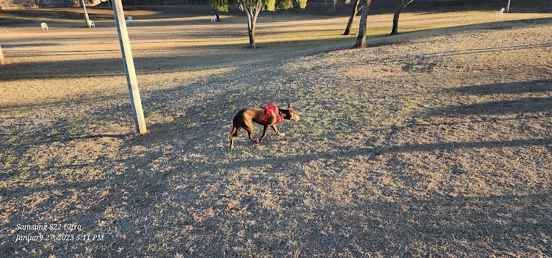 Quail Run Park Off Leash Dog Area - Mesa, AZ