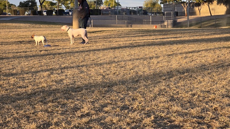 Quail Run Park Off Leash Dog Area - Mesa, AZ