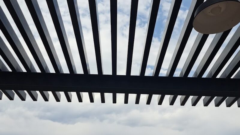 Dog Park - Mesa, AZ
