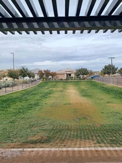 Dog Park - Mesa, AZ
