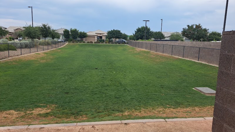 Dog Park - Mesa, AZ