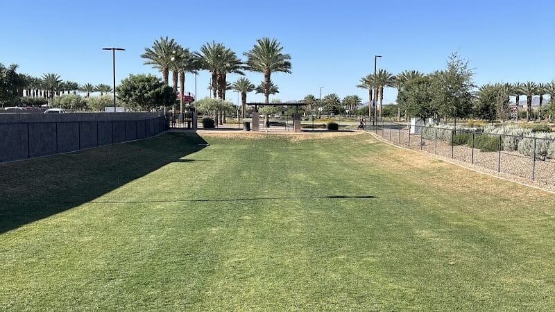 Dog Park - Mesa, AZ
