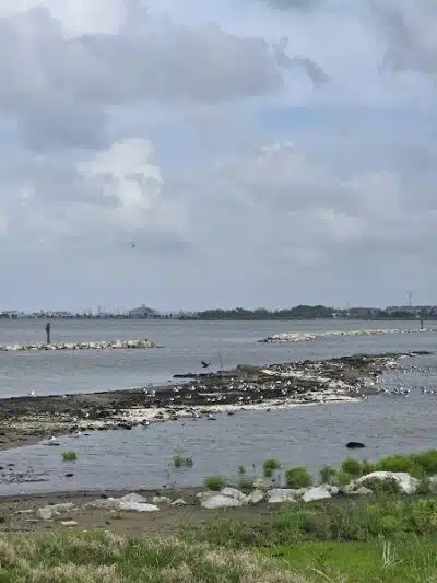 Bonnabel Dog Park - Metairie, LA