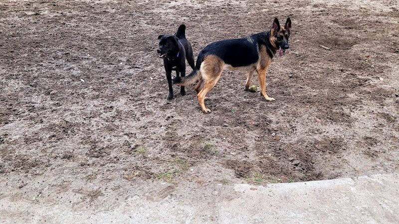 Pontiff Park Dog Park - Metairie, LA