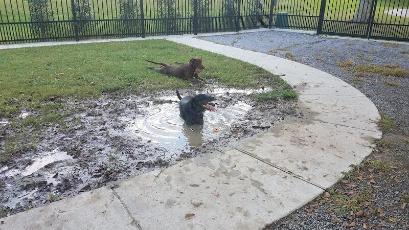 Pontiff Park Dog Park - Metairie, LA