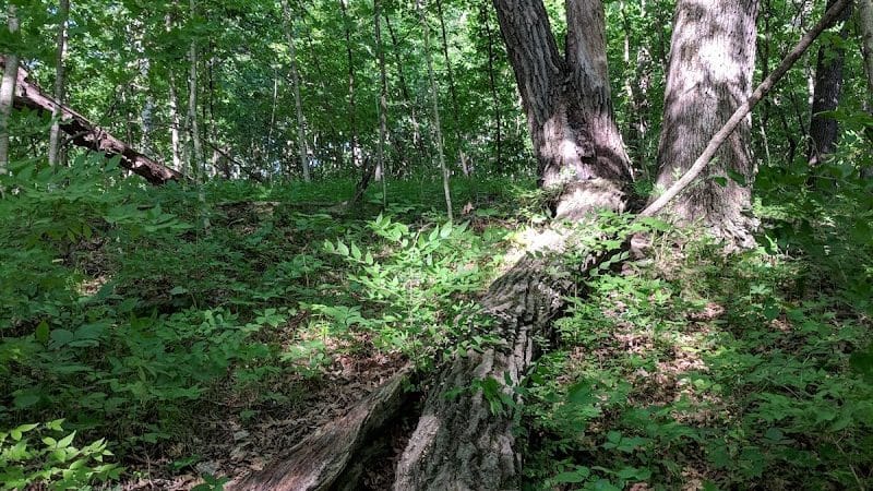 Black Partridge Park - Metamora, IL
