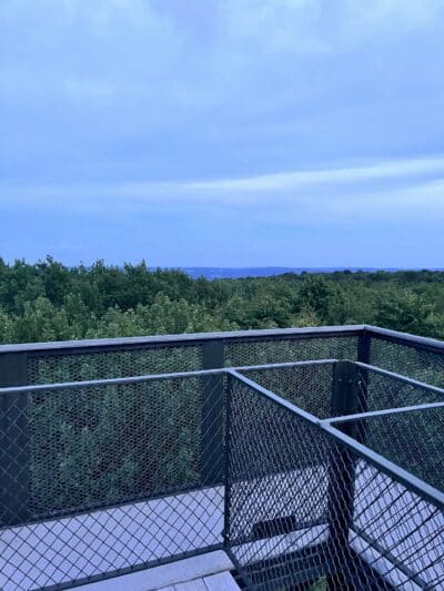 Mount Davis Pennsylvania Highpoint Trailhead - Meyersdale, PA