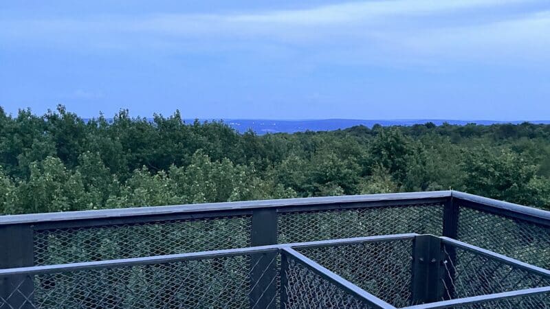 Mount Davis Pennsylvania Highpoint Trailhead - Meyersdale, PA