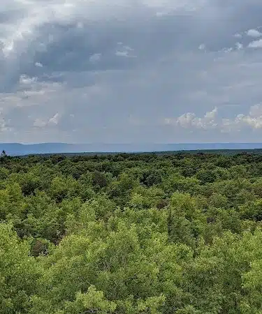Mount Davis Pennsylvania Highpoint Trailhead - Meyersdale, PA