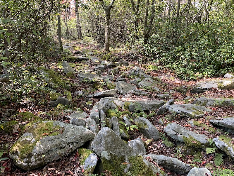 Mount Davis Pennsylvania Highpoint Trailhead - Meyersdale, PA