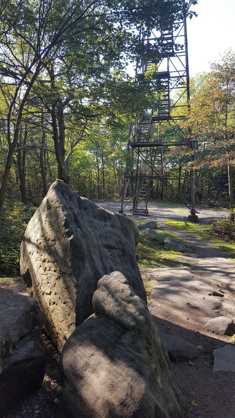 Mount Davis Pennsylvania Highpoint Trailhead - Meyersdale, PA