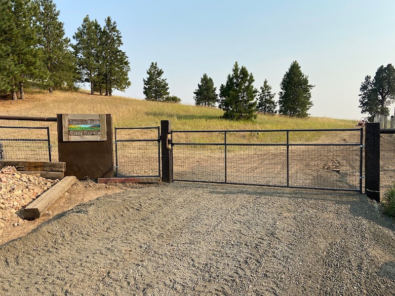 Dawn to Dusk Doggy Domain Private Dog Park- By Reservation Only - Mica, WA