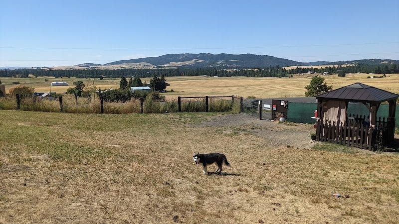 Dawn to Dusk Doggy Domain Private Dog Park- By Reservation Only - Mica, WA