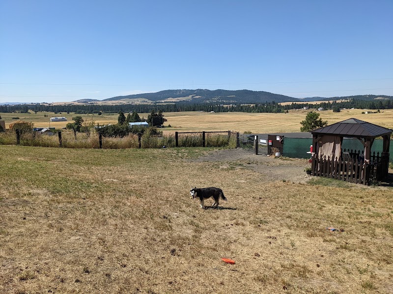 Dawn to Dusk Doggy Domain Private Dog Park- By Reservation Only - Mica, WA