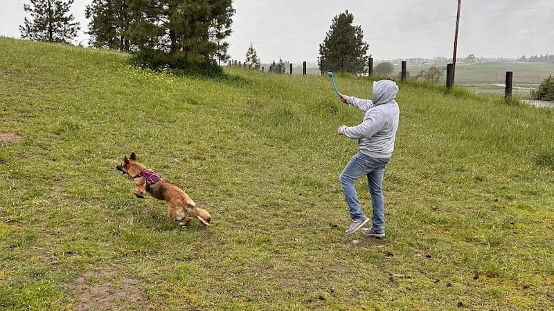Dawn to Dusk Doggy Domain Private Dog Park- By Reservation Only - Mica, WA