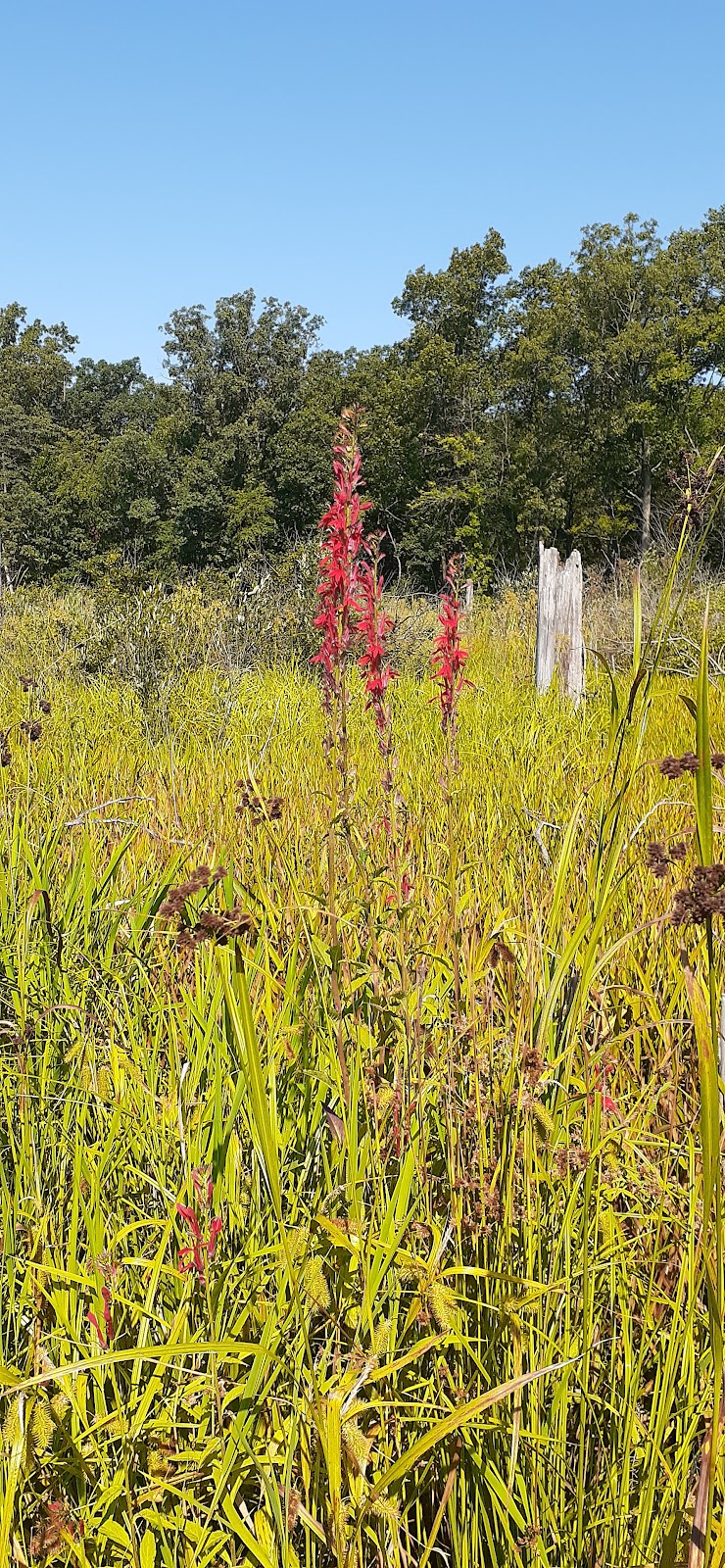 Beverly Shores Project Area - Michigan City, IN