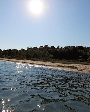 Beverly Shores Project Area