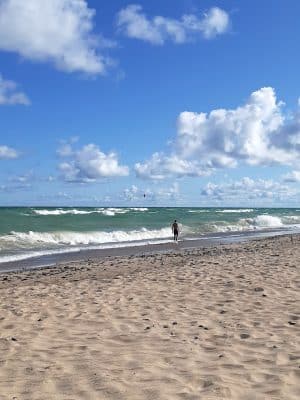 Beverly Shores Project Area