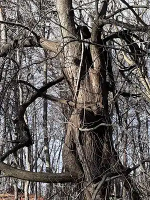 Creek Ridge County Park