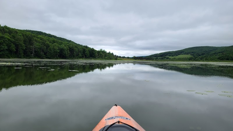Franklinton Vlaie Wildlife Management Area - Middleburgh, NY
