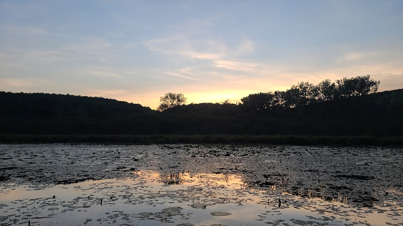 Franklinton Vlaie Wildlife Management Area - Middleburgh, NY
