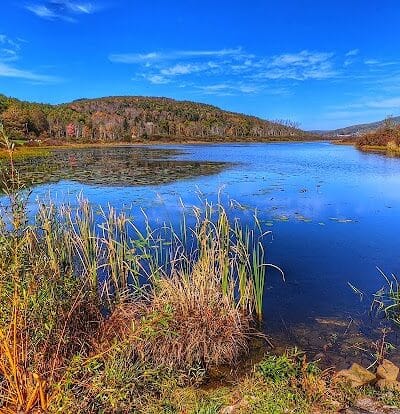 Franklinton Vlaie Wildlife Management Area - Middleburgh, NY