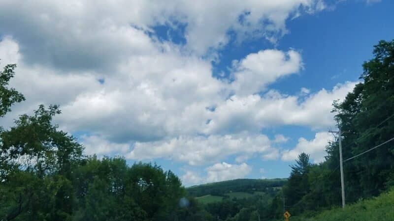 Franklinton Vlaie Wildlife Management Area - Middleburgh, NY