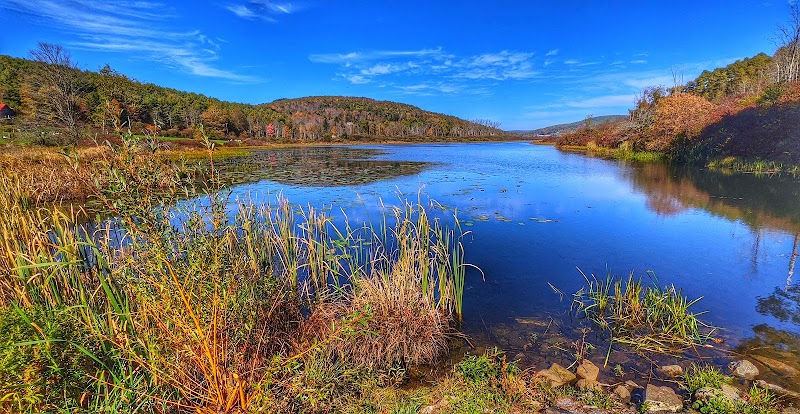 Franklinton Vlaie Wildlife Management Area - Middleburgh, NY