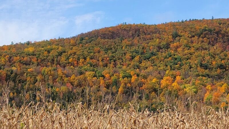 Timothy Murphy Park - Middleburgh, NY