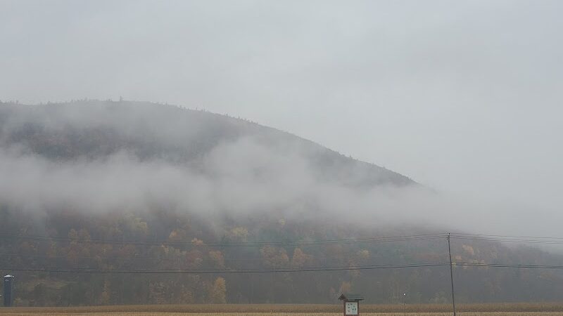 Timothy Murphy Park - Middleburgh, NY