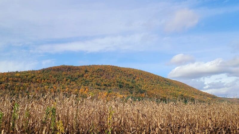 Timothy Murphy Park - Middleburgh, NY