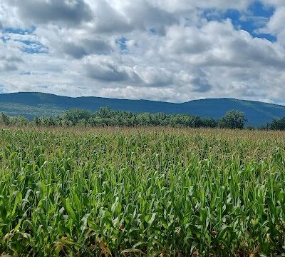 Timothy Murphy Park - Middleburgh, NY