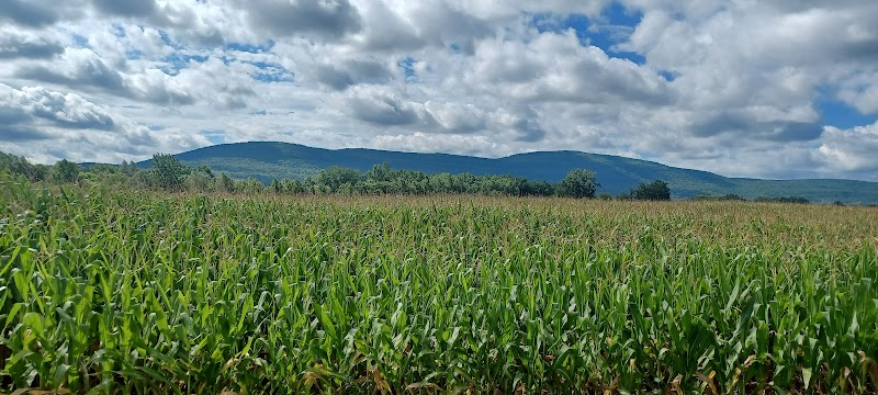Timothy Murphy Park - Middleburgh, NY