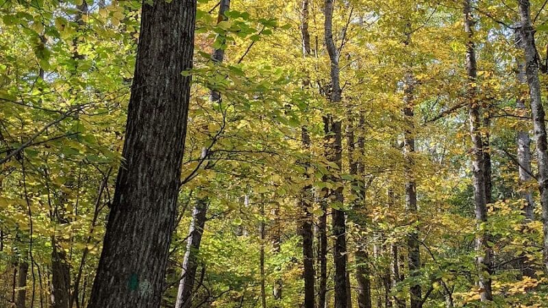 Vroman's Nose Hiking Trail - Middleburgh, NY