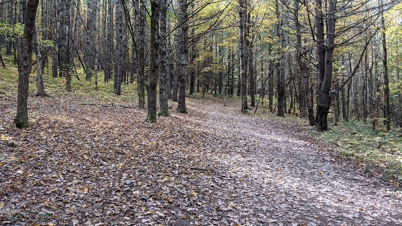 Vroman's Nose Hiking Trail - Middleburgh, NY