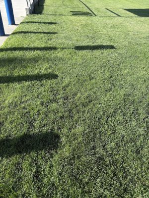 Hawthorne Park