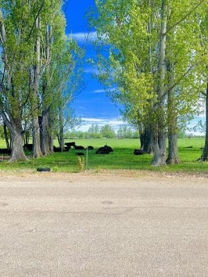Hawthorne Park