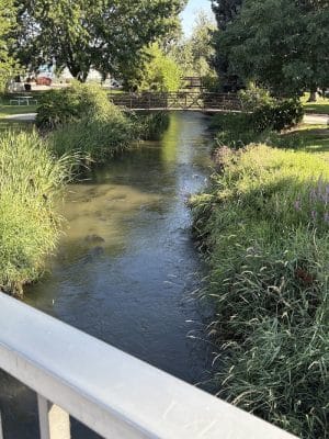 Roadside Park