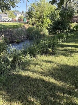 Roadside Park