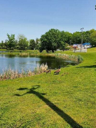 Butternut Hollow Park. - Middletown, CT