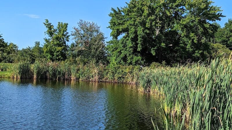Butternut Hollow Park. - Middletown, CT